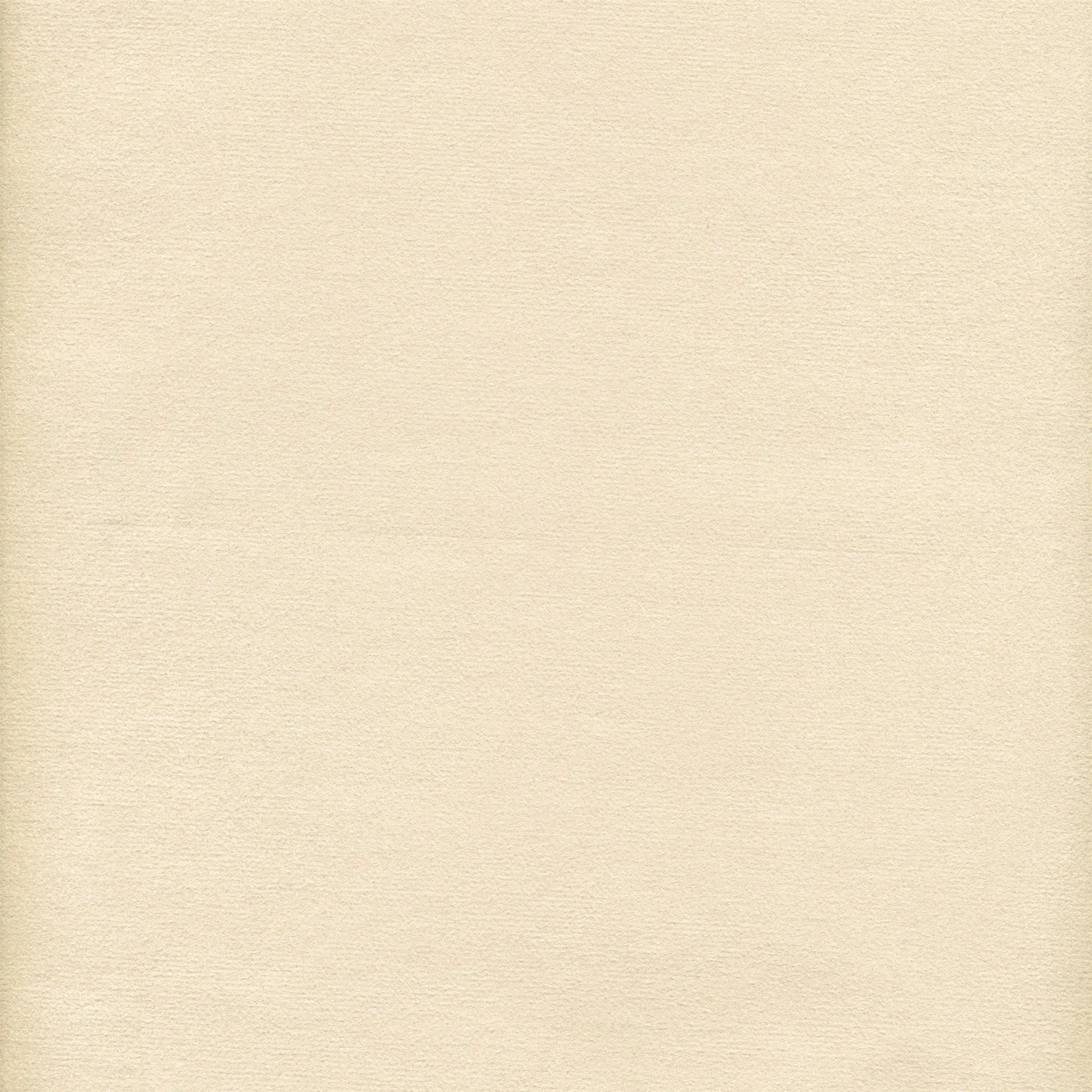 Ivory 11 | Samanta