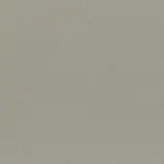 Gull Gray 00 | Riga