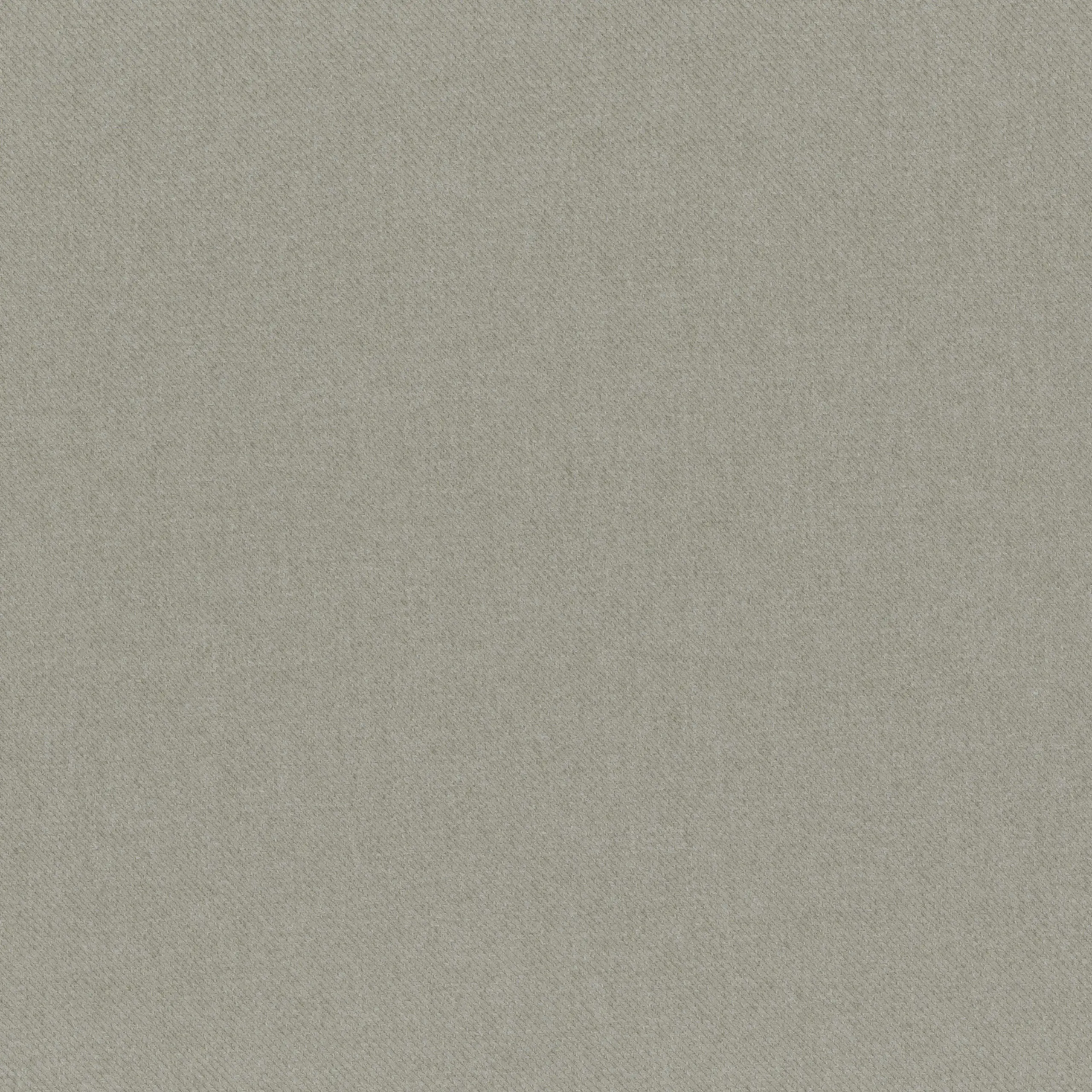 Gull Gray 00 | Riga