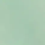 Mint 5230 | Spring