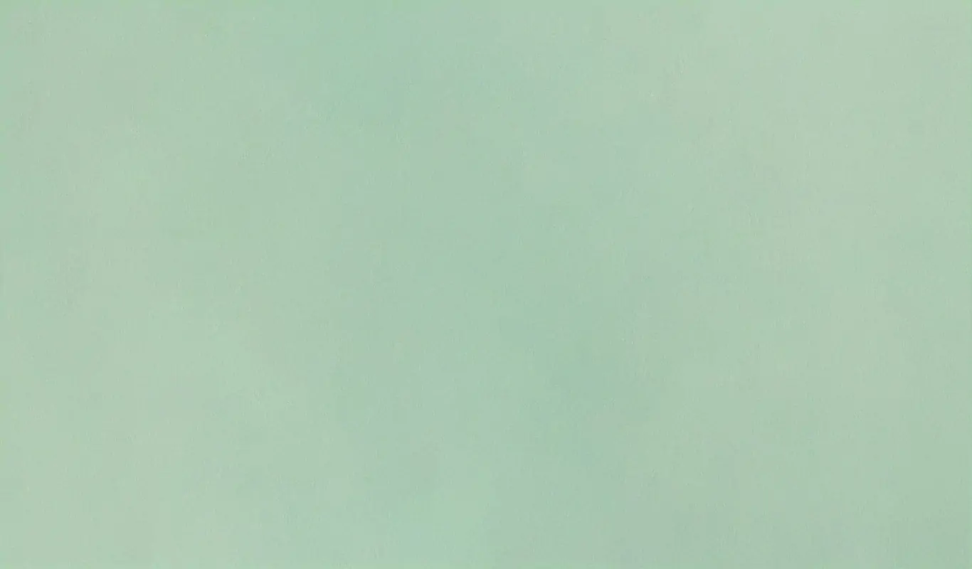Mint 5230 | Spring