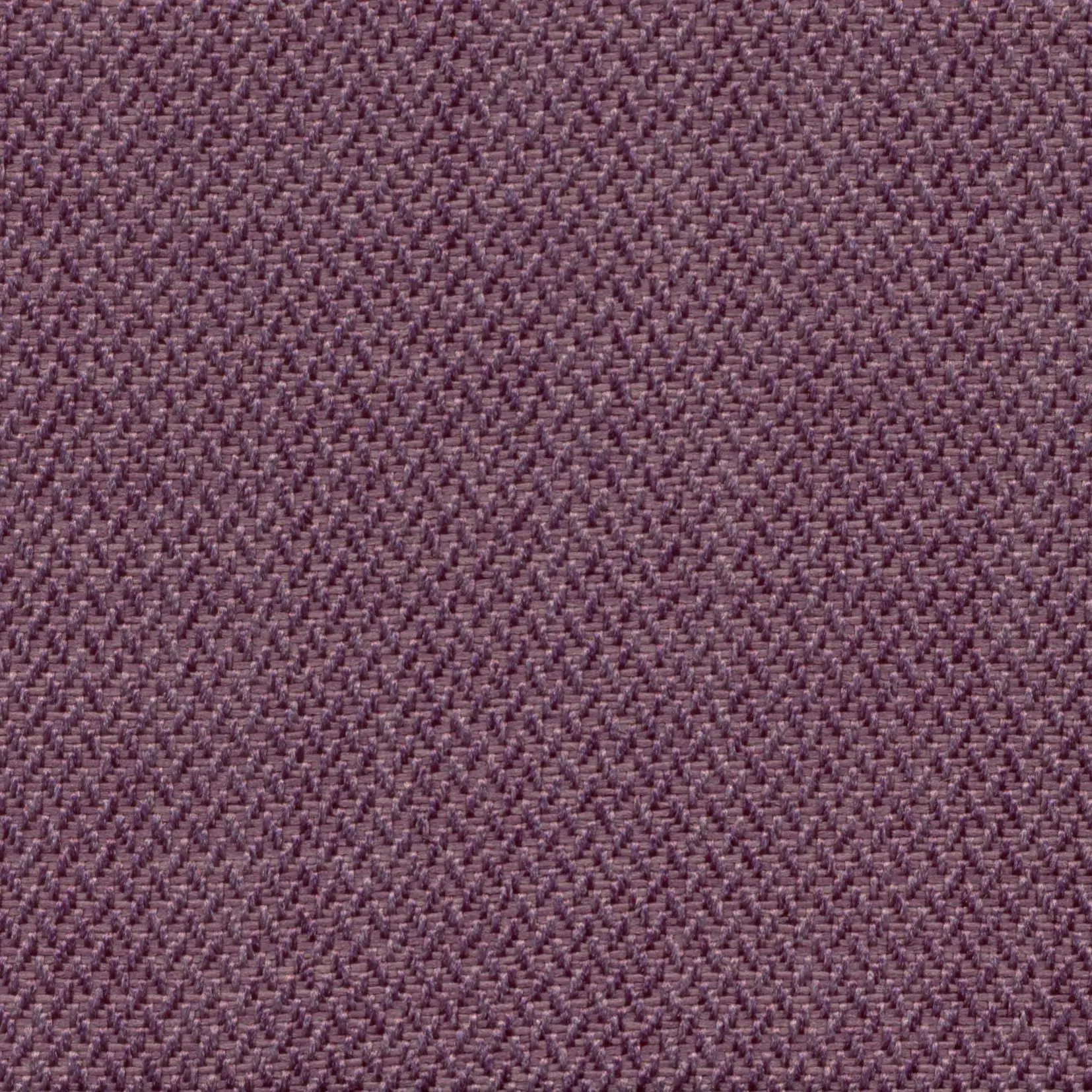Passion 701 | Meteor