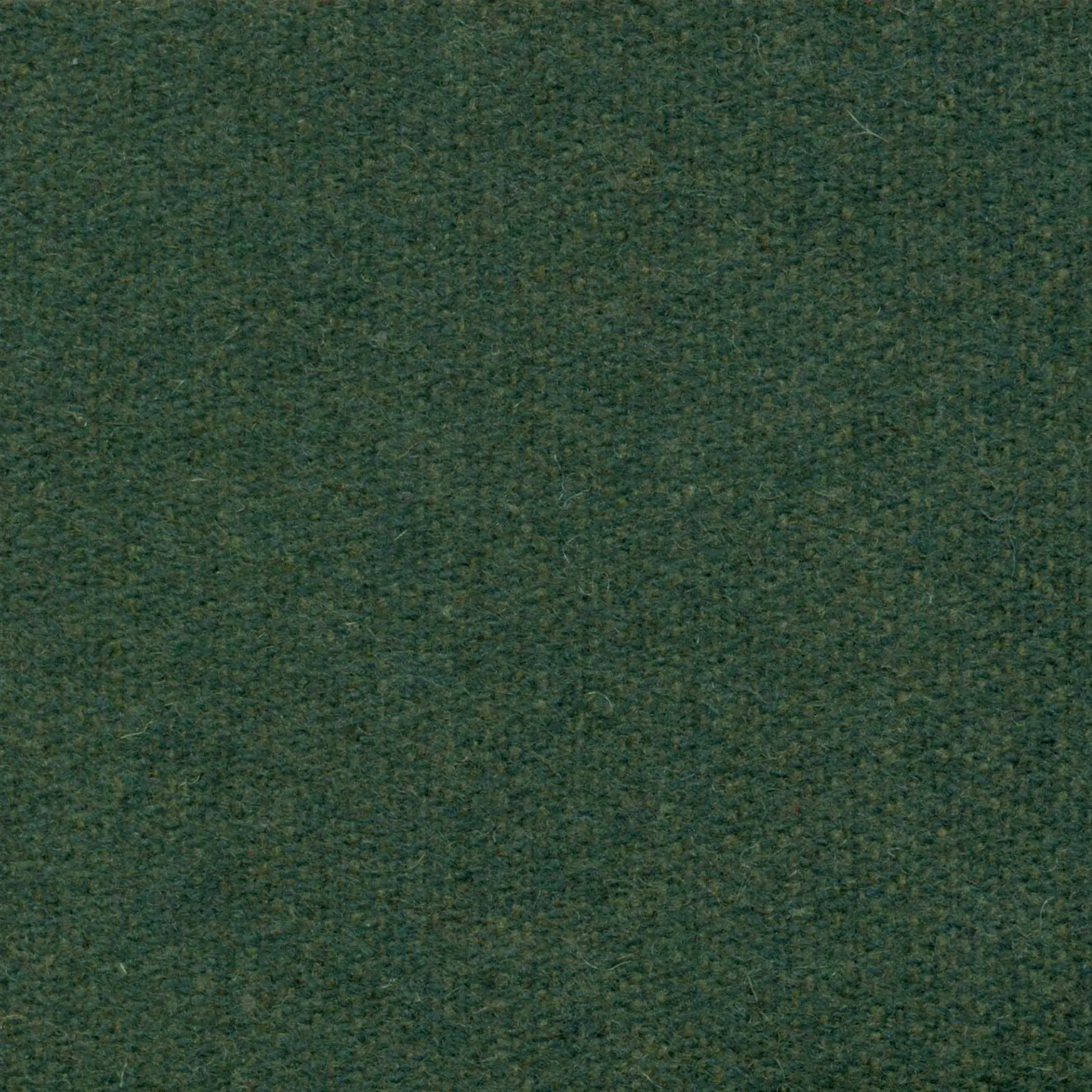 Garden 509 | Savoy FR
