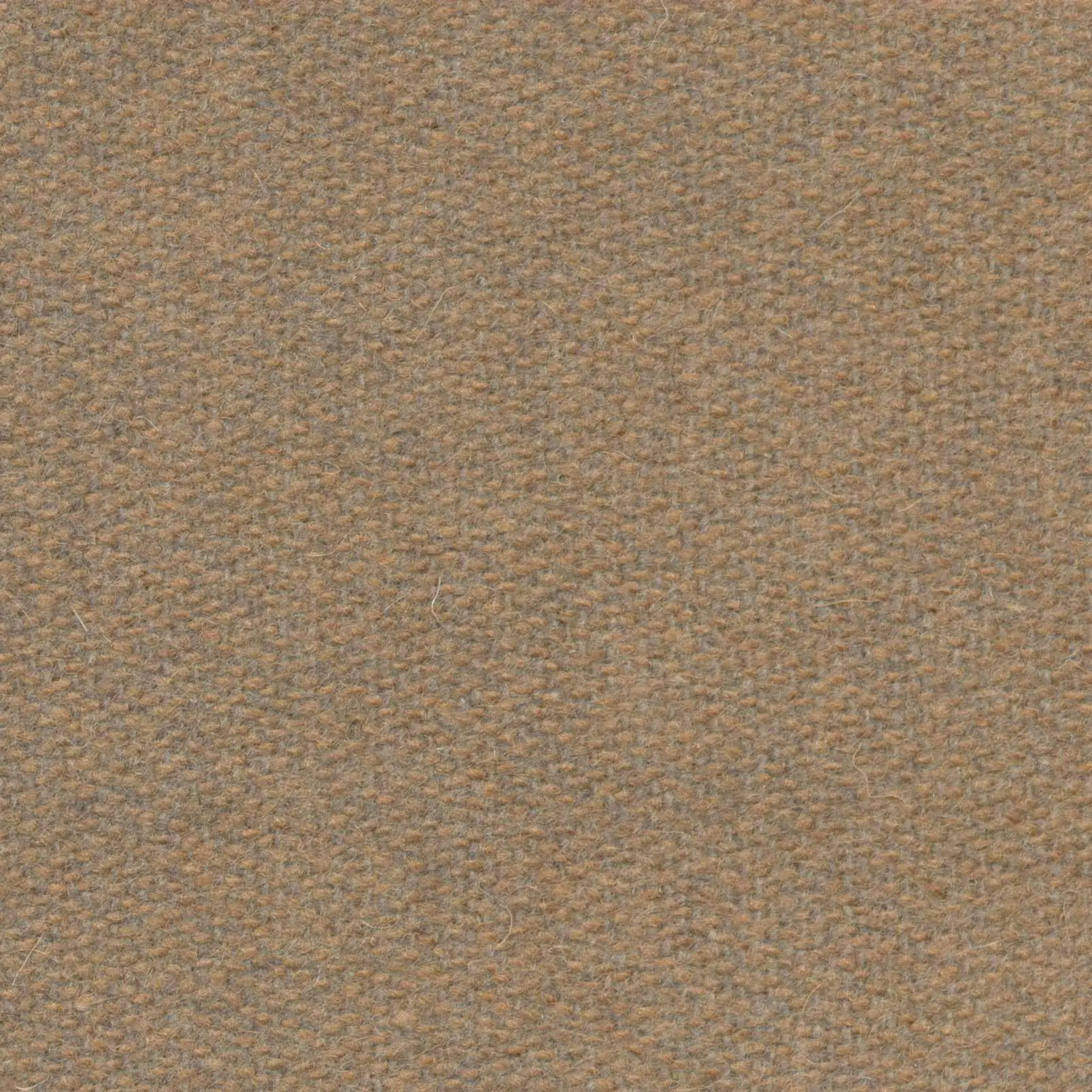 Sesame 535 | Savoy FR
