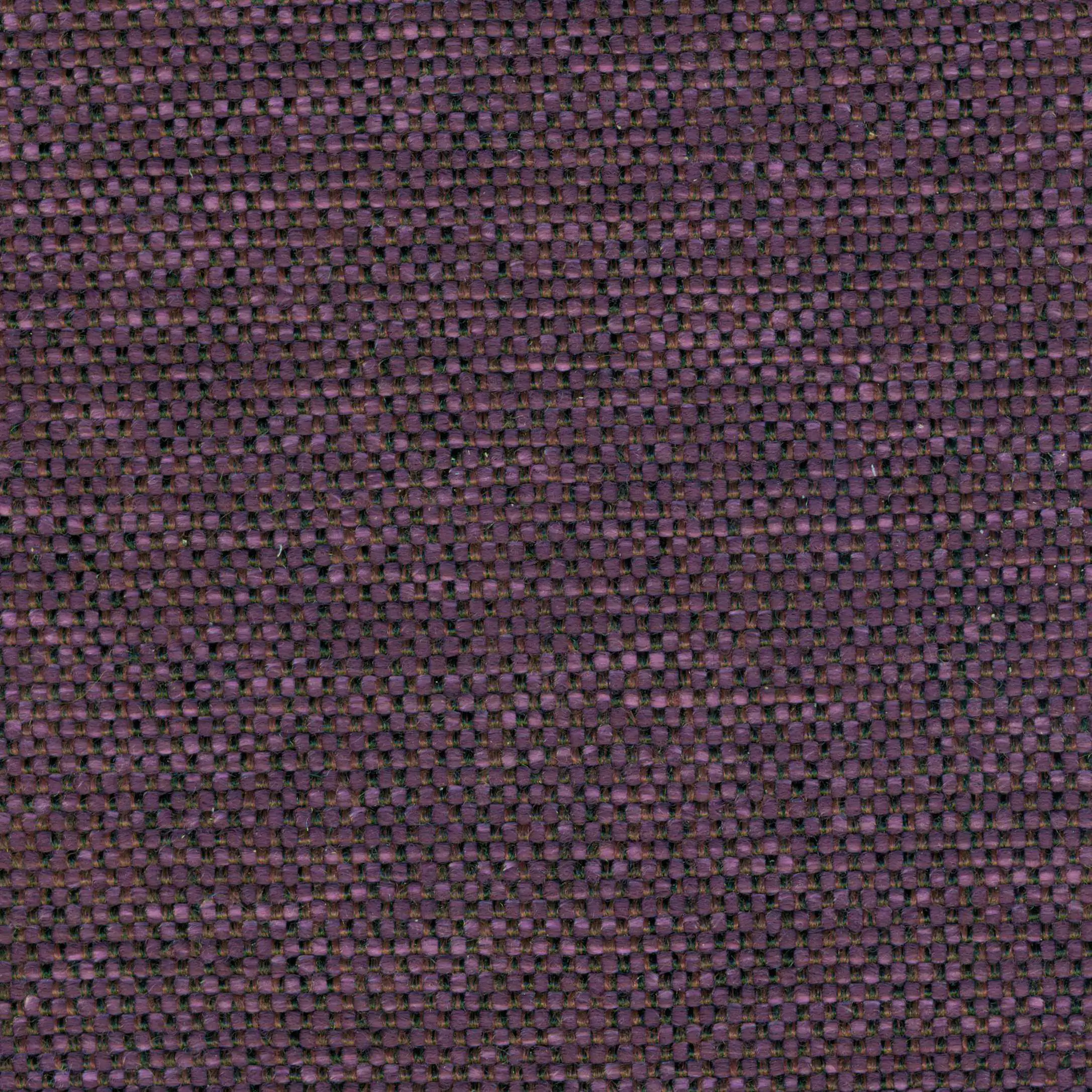 12140 | Mango