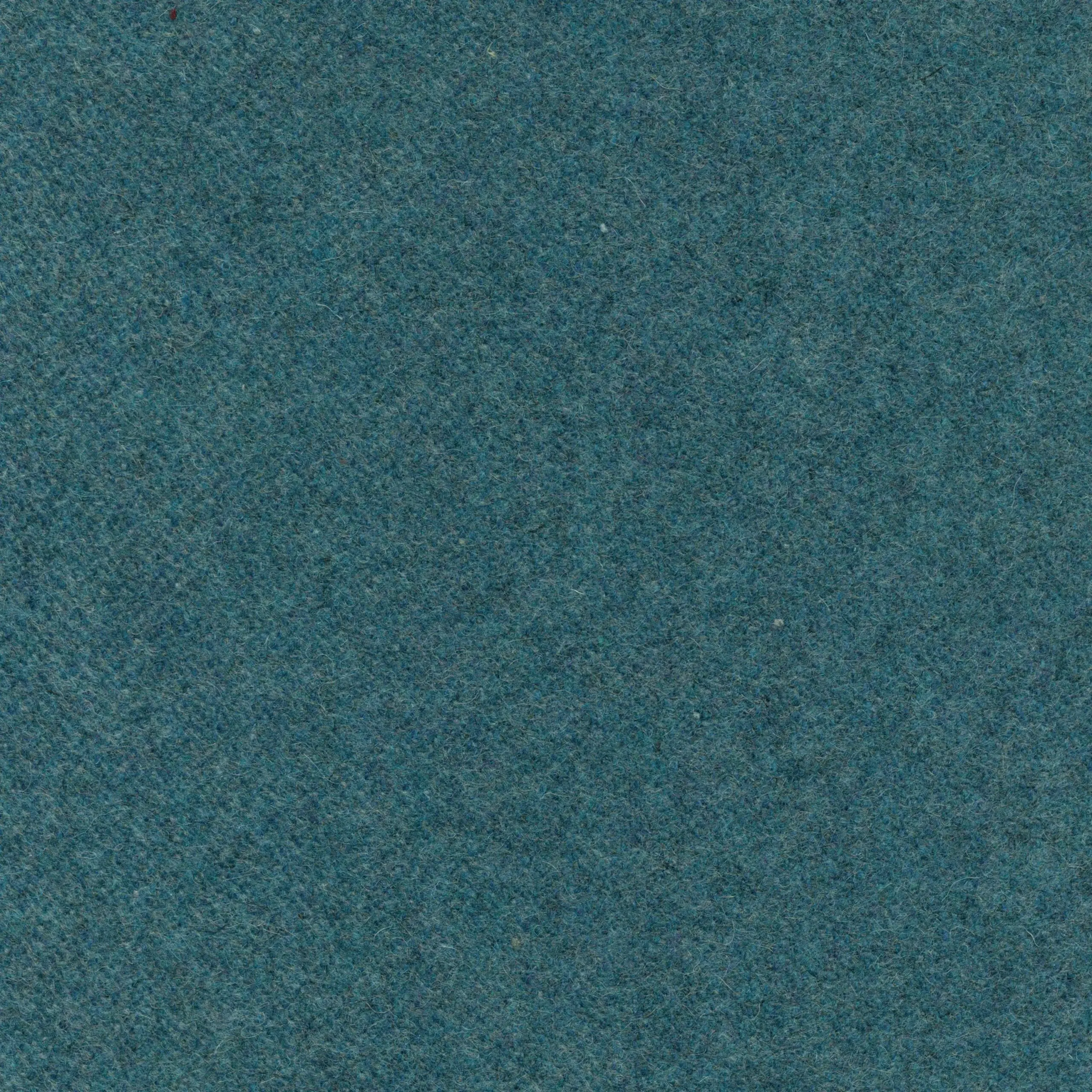 Petrol 44 | Wool