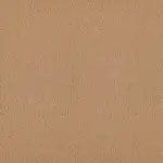 Biscuit 057 | Star