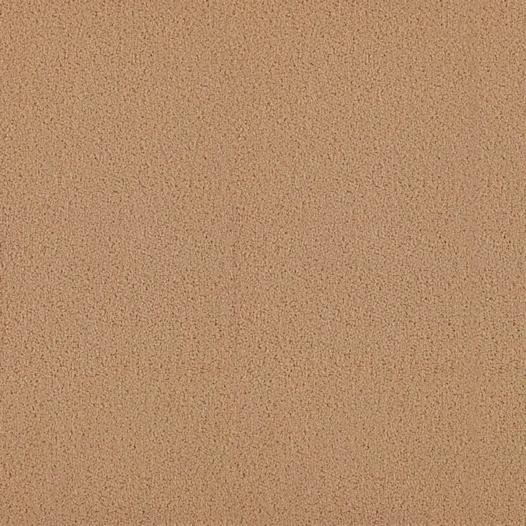 Biscuit 057