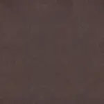 Chestnut 005 | Paragon
