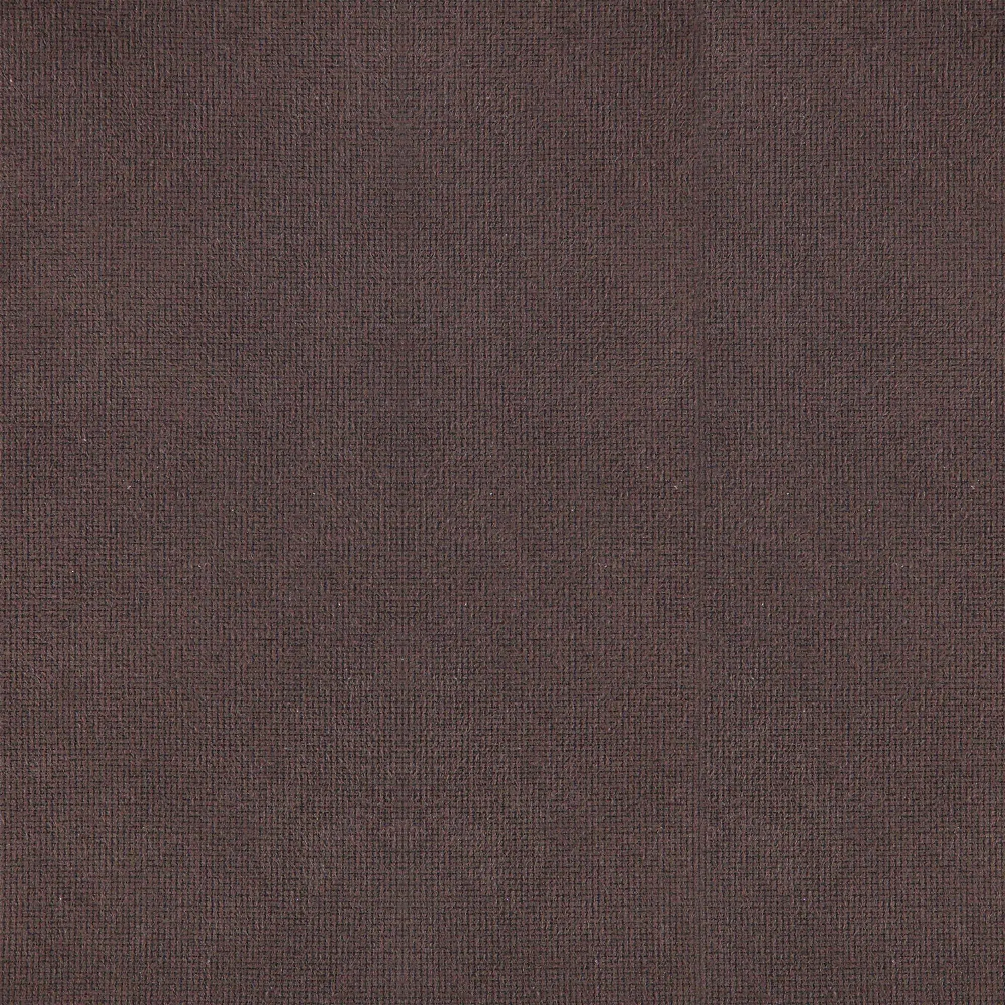 Chestnut 005 | Paragon