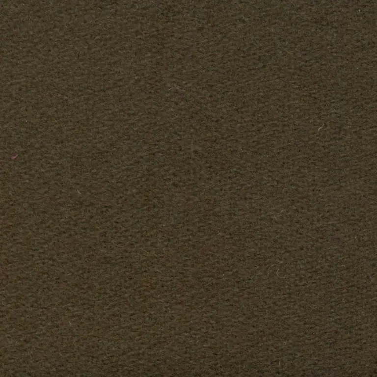 Bear H485