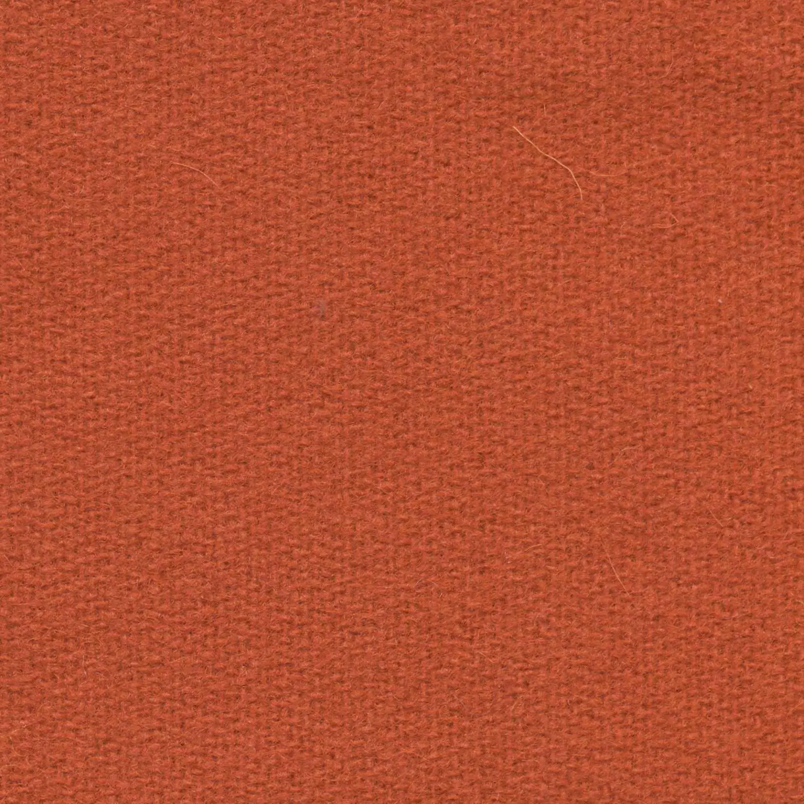 Grapefruit H475 | Savoy FR