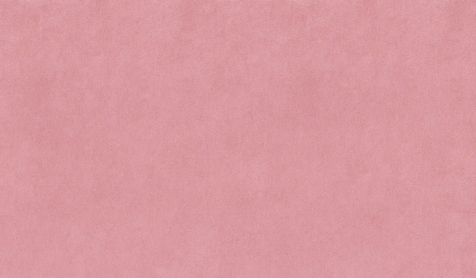 Peony 32 | Tivoli