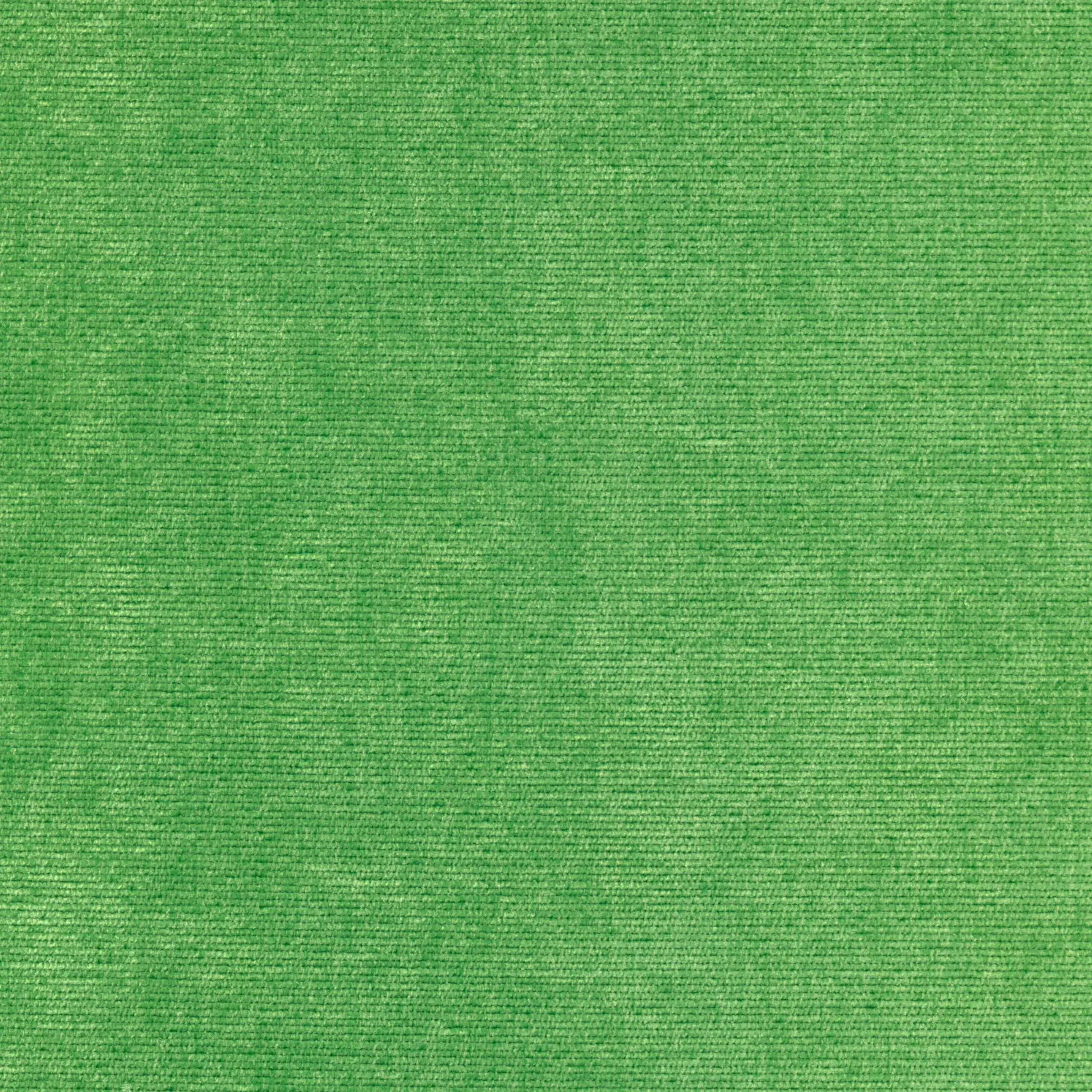 Lime 50 | Verner