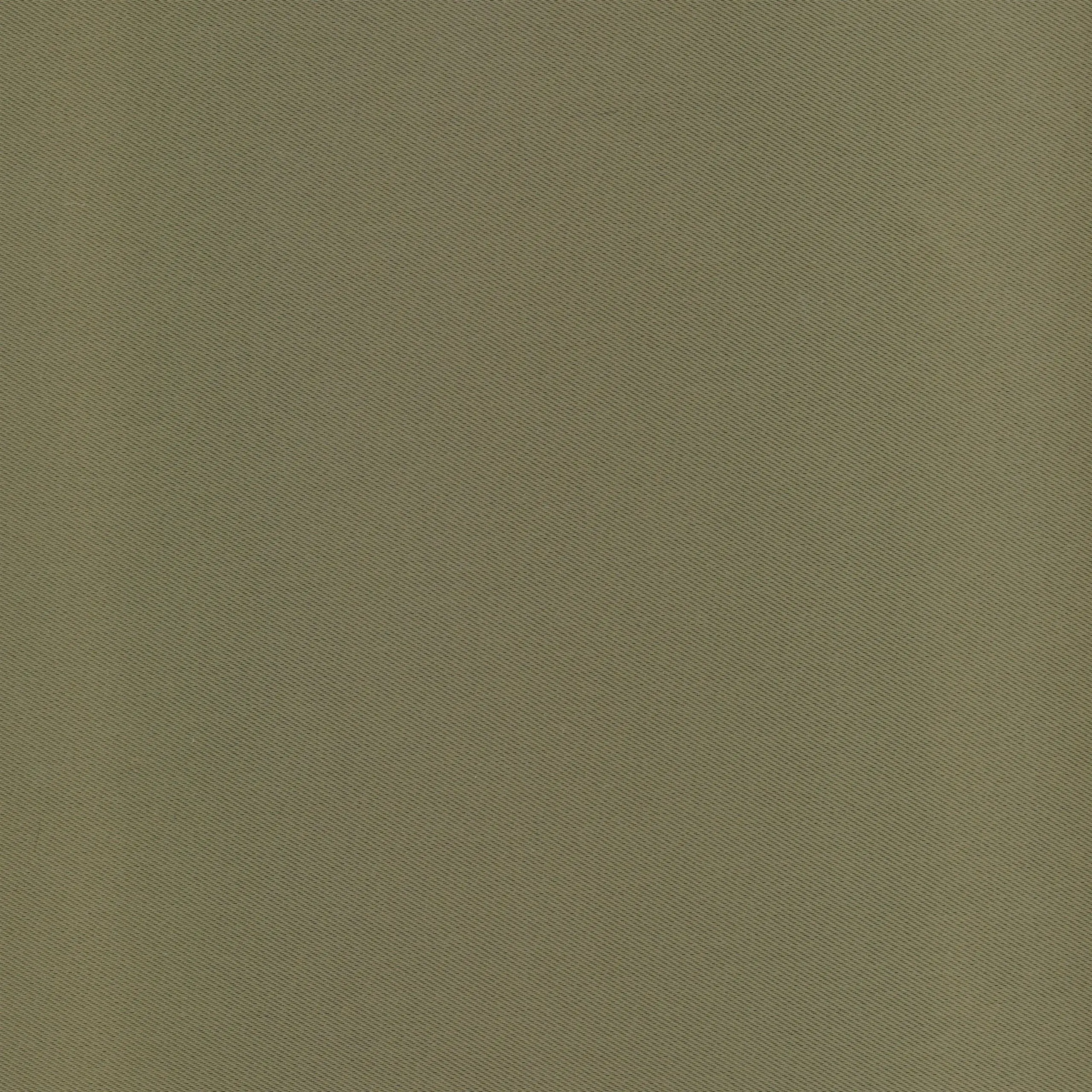 Eucalyptus 22 | Luna