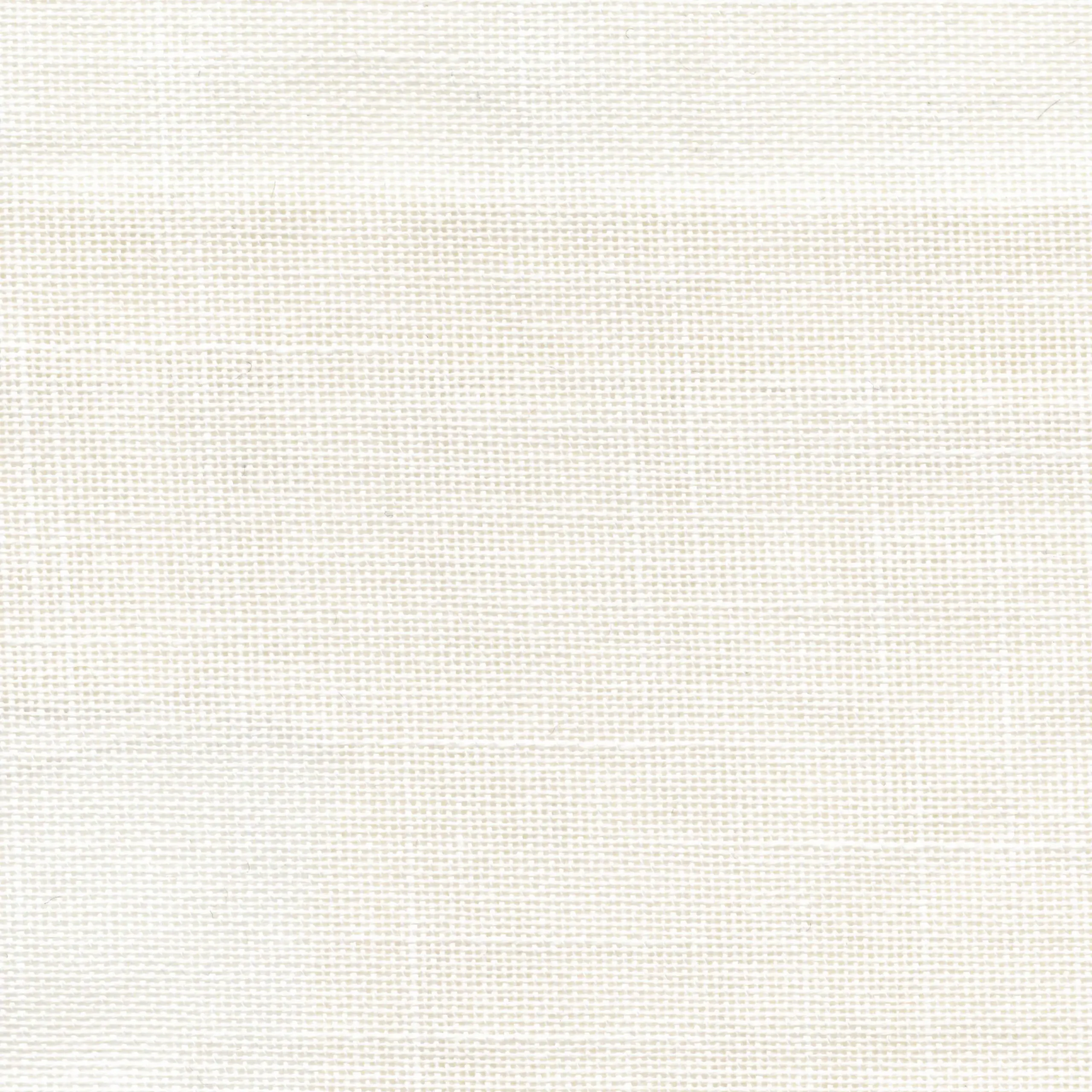 Fog 02 | Native