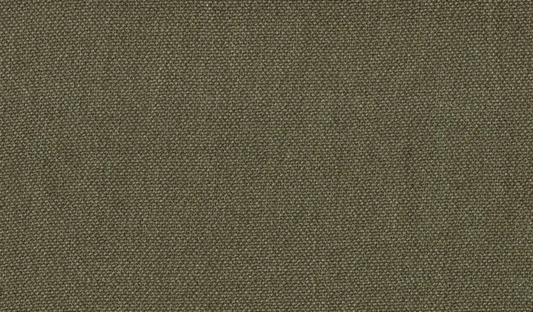 Olive 26