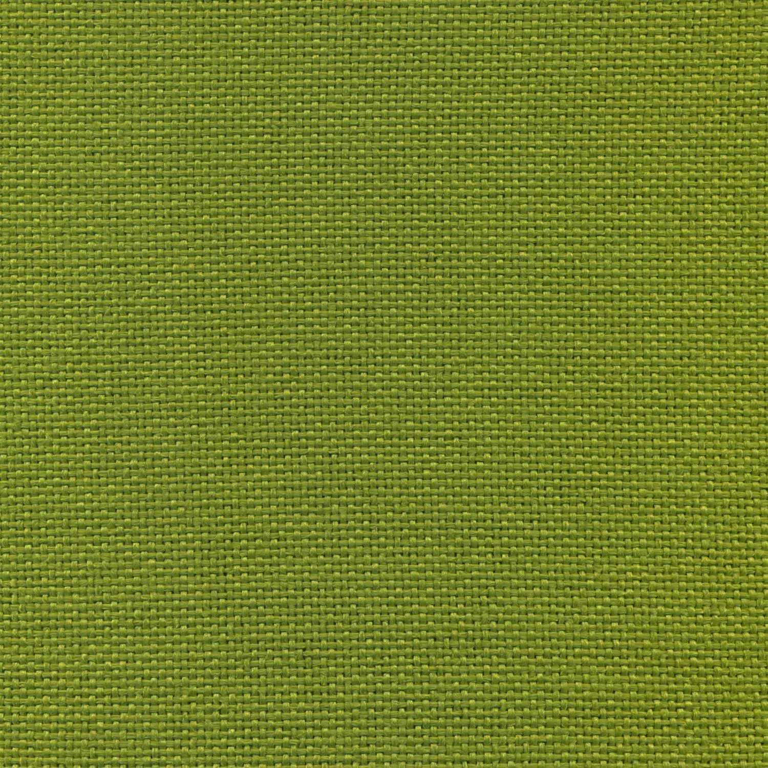 Grass 60 | Trenza