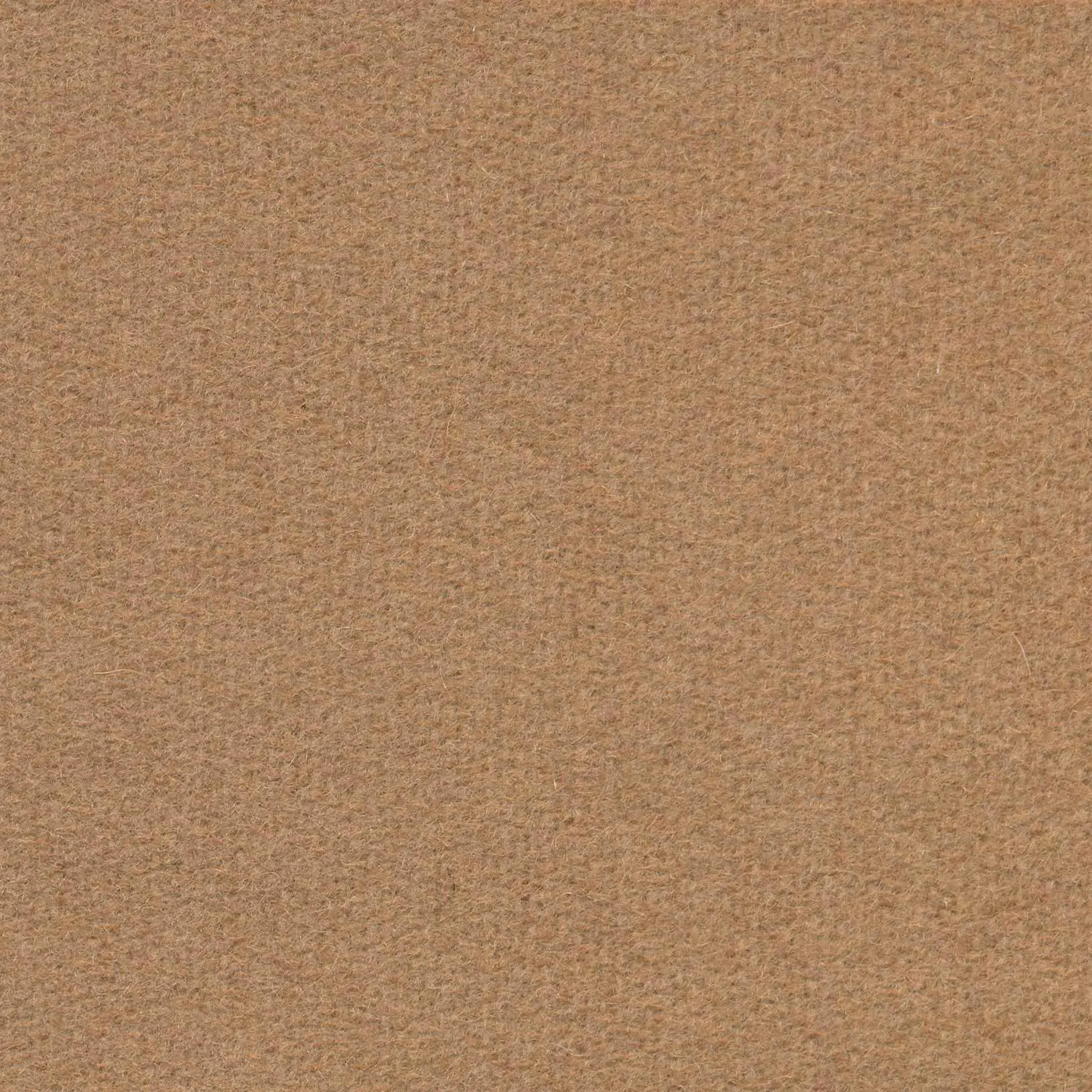 Powder H469 | Savoy FR
