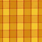 Fresia 3 | Sunflower