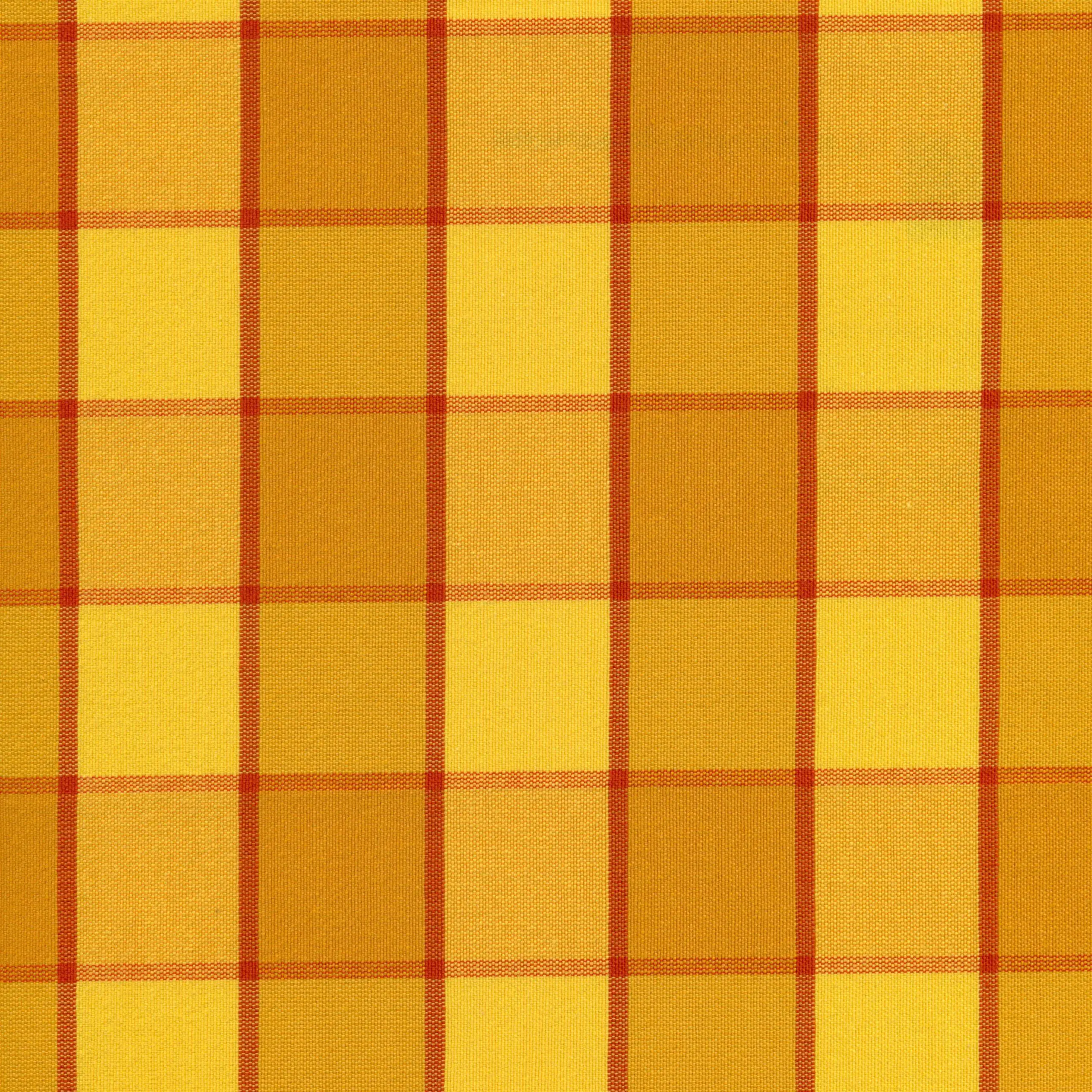 Fresia 3 | Sunflower