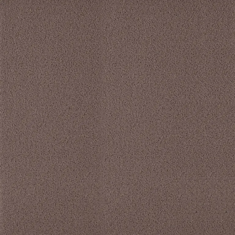 Walnut 016