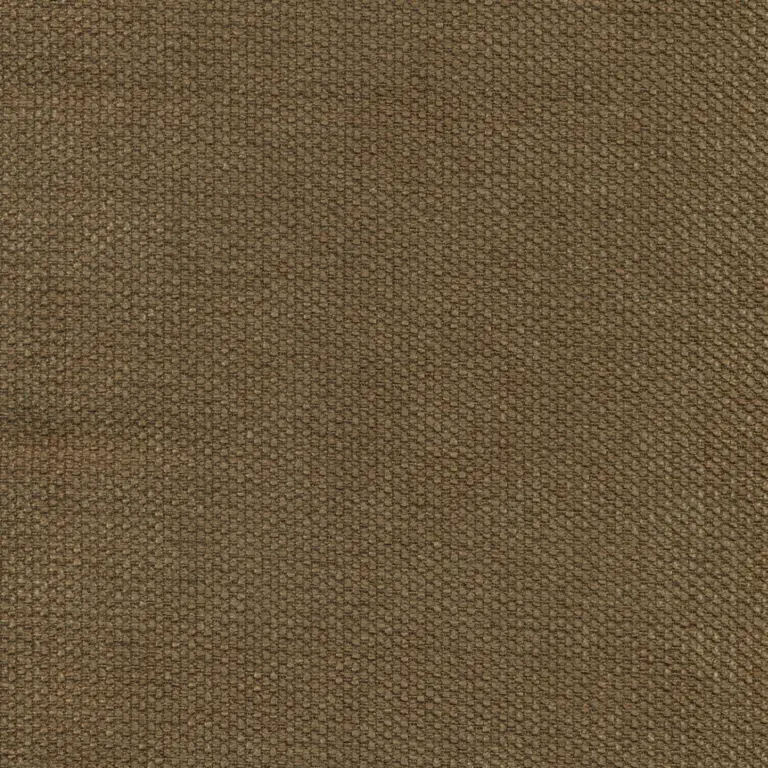 Walnut 02