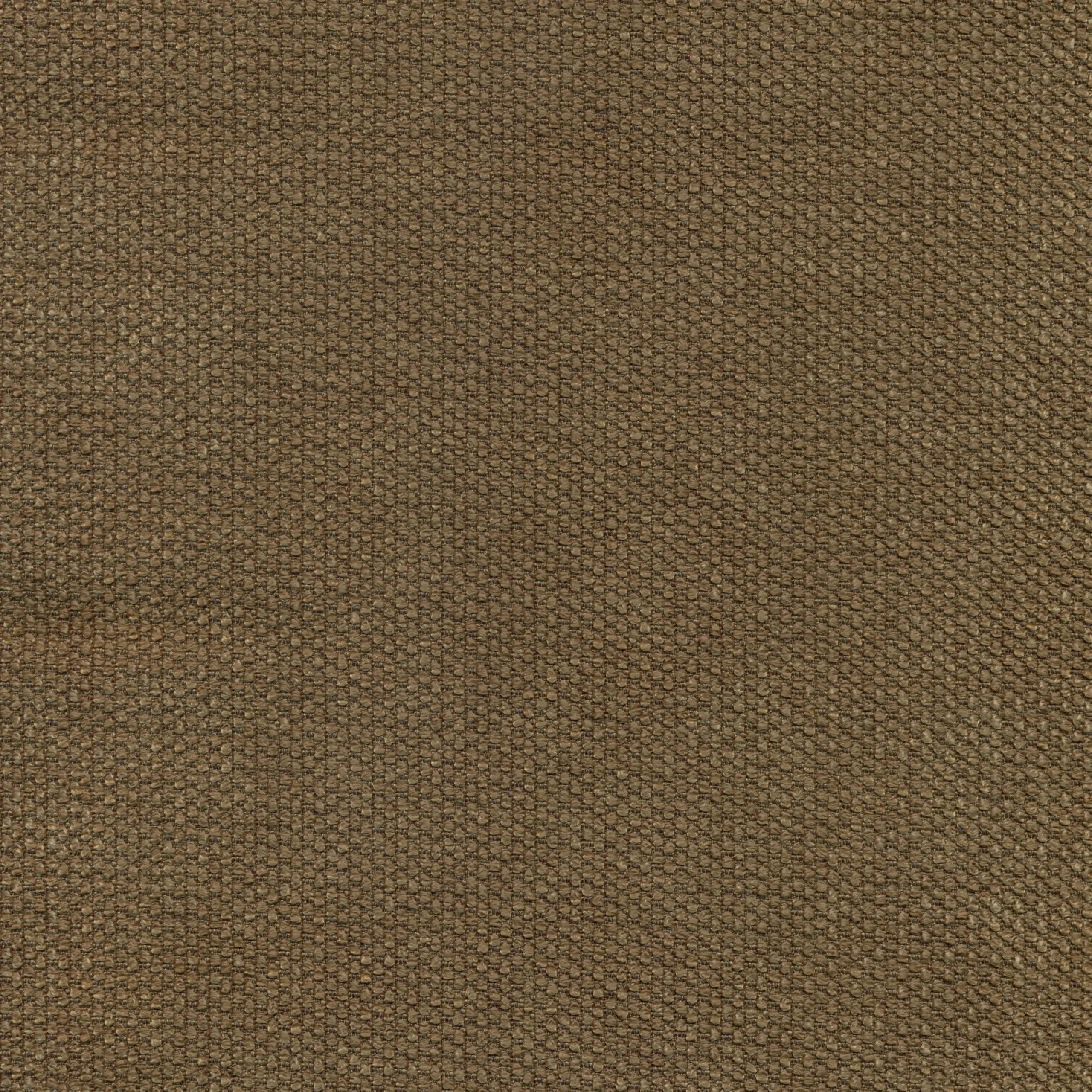 Walnut 02 | Onyx
