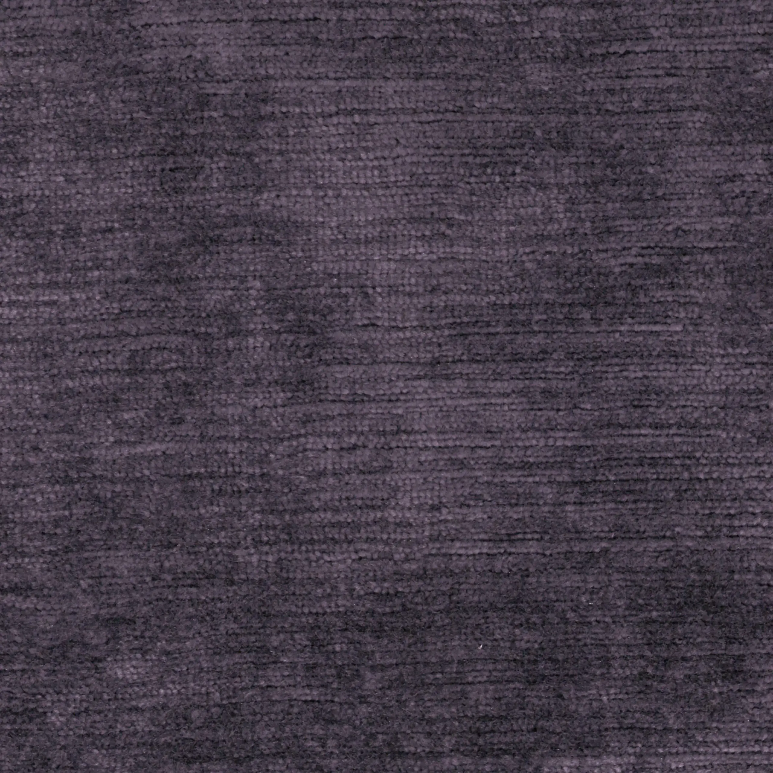 Eggplant 31 | Lavender
