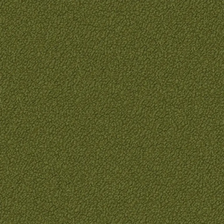 Iguana 33