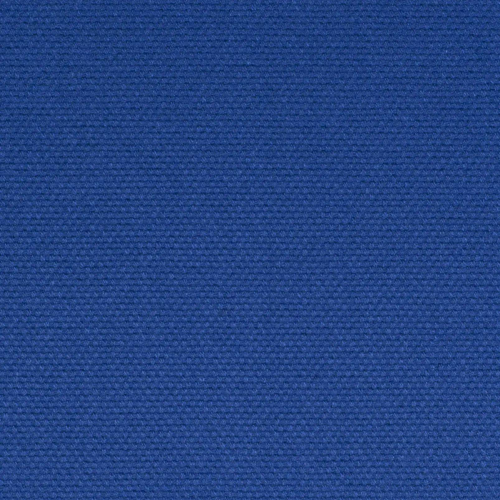Cobalt 44 | Ringo