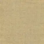 Brown 09 | Mada