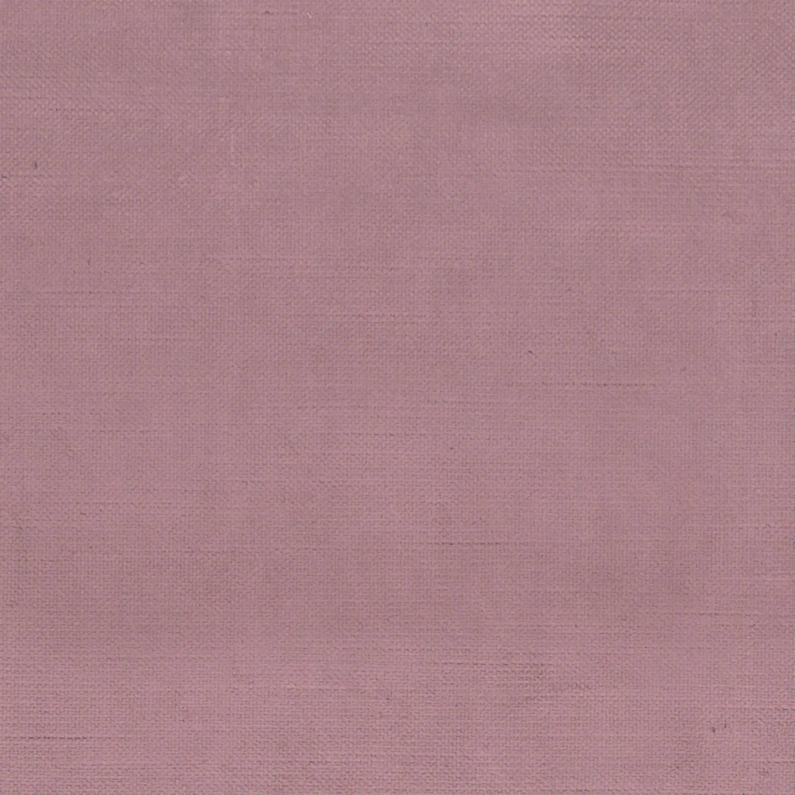 Wisteria 621 | York