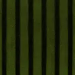 Cactus 34 | Thales