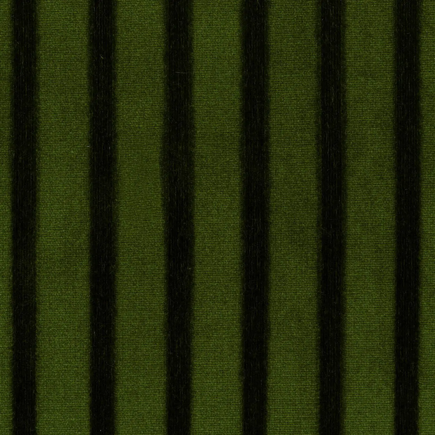 Cactus 34 | Thales