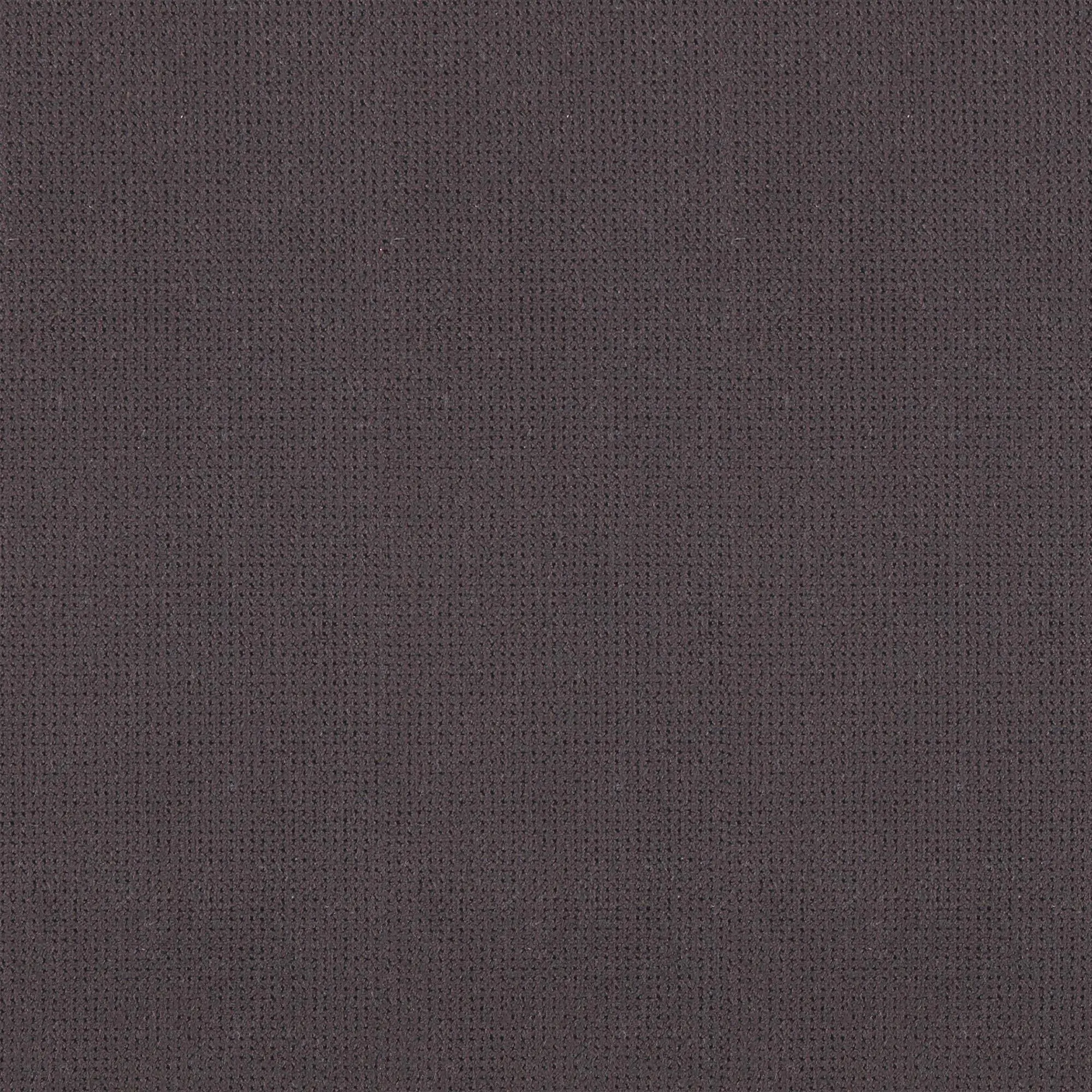 Pinecone 003 | Macho