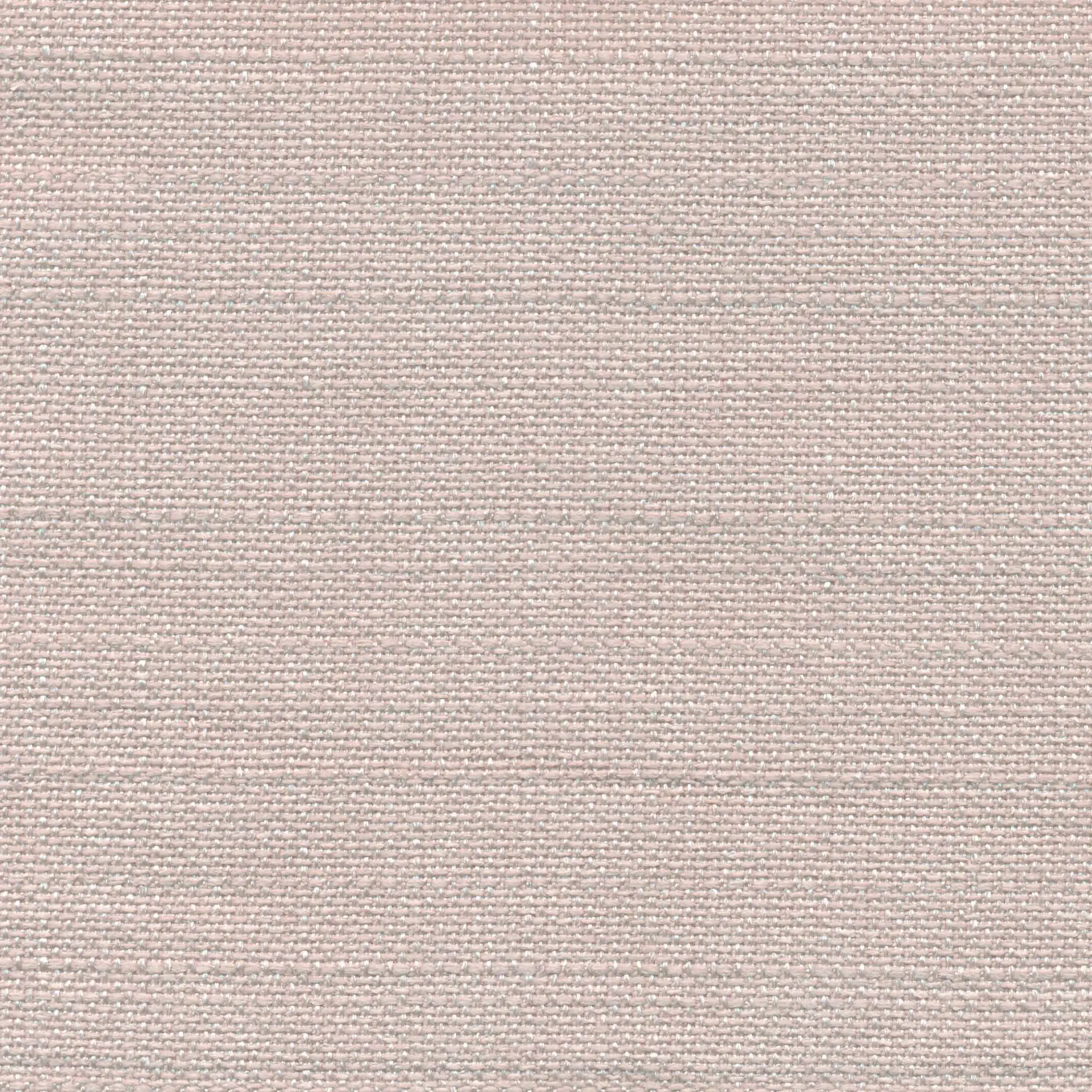 Apricot 600 | Saute