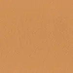 Apricot 59 | Linea