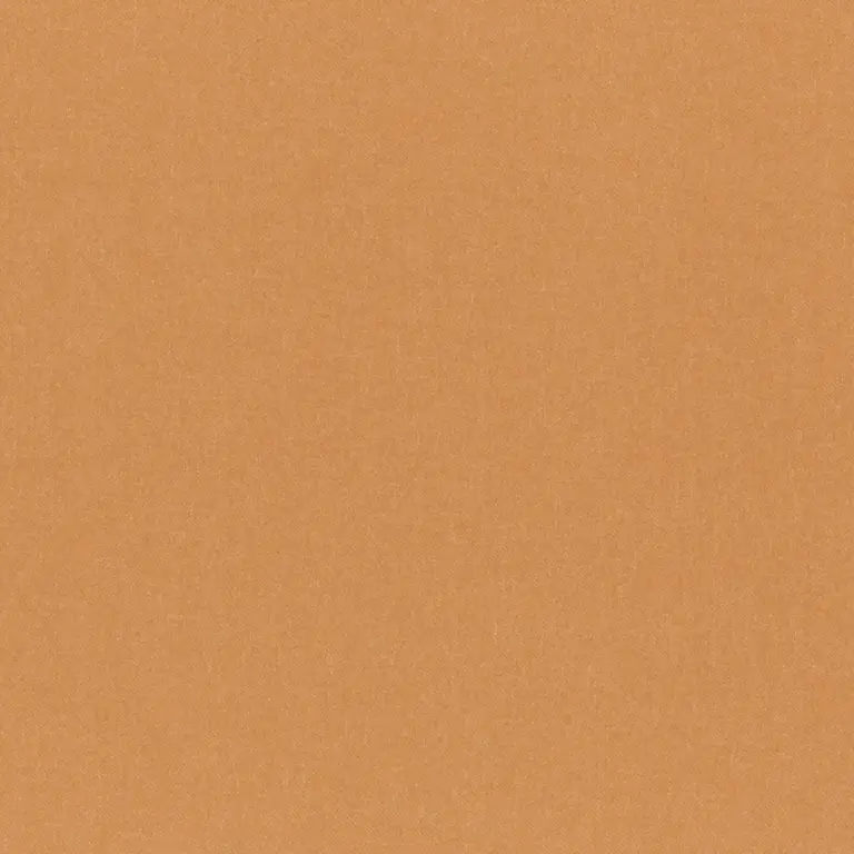 Apricot 59