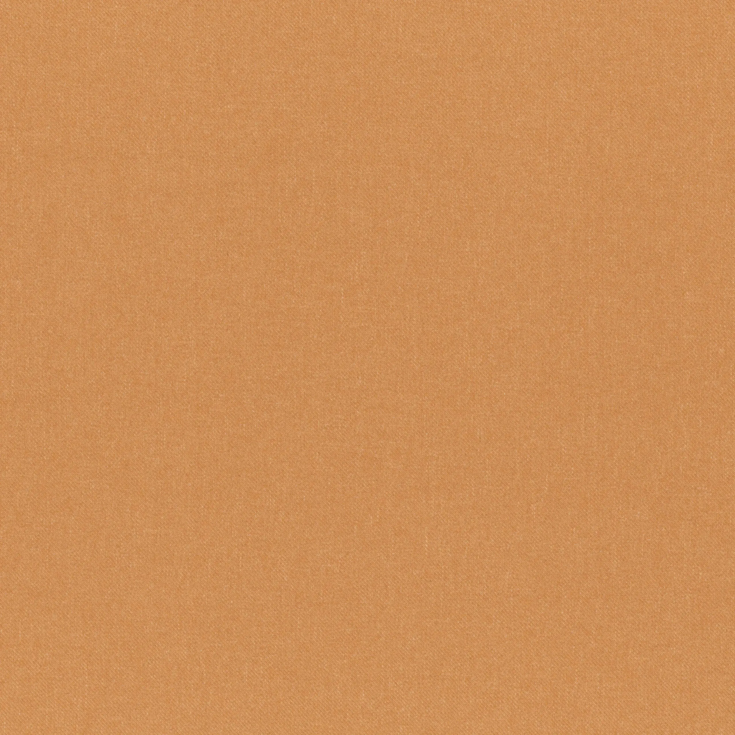 Apricot 59 | Linea