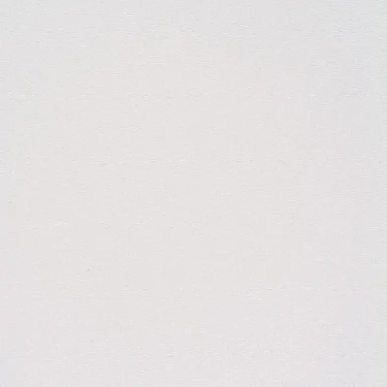Snow 12