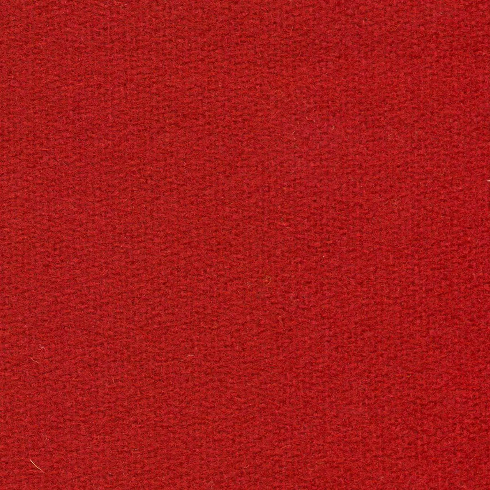 Red H477 | Savoy FR