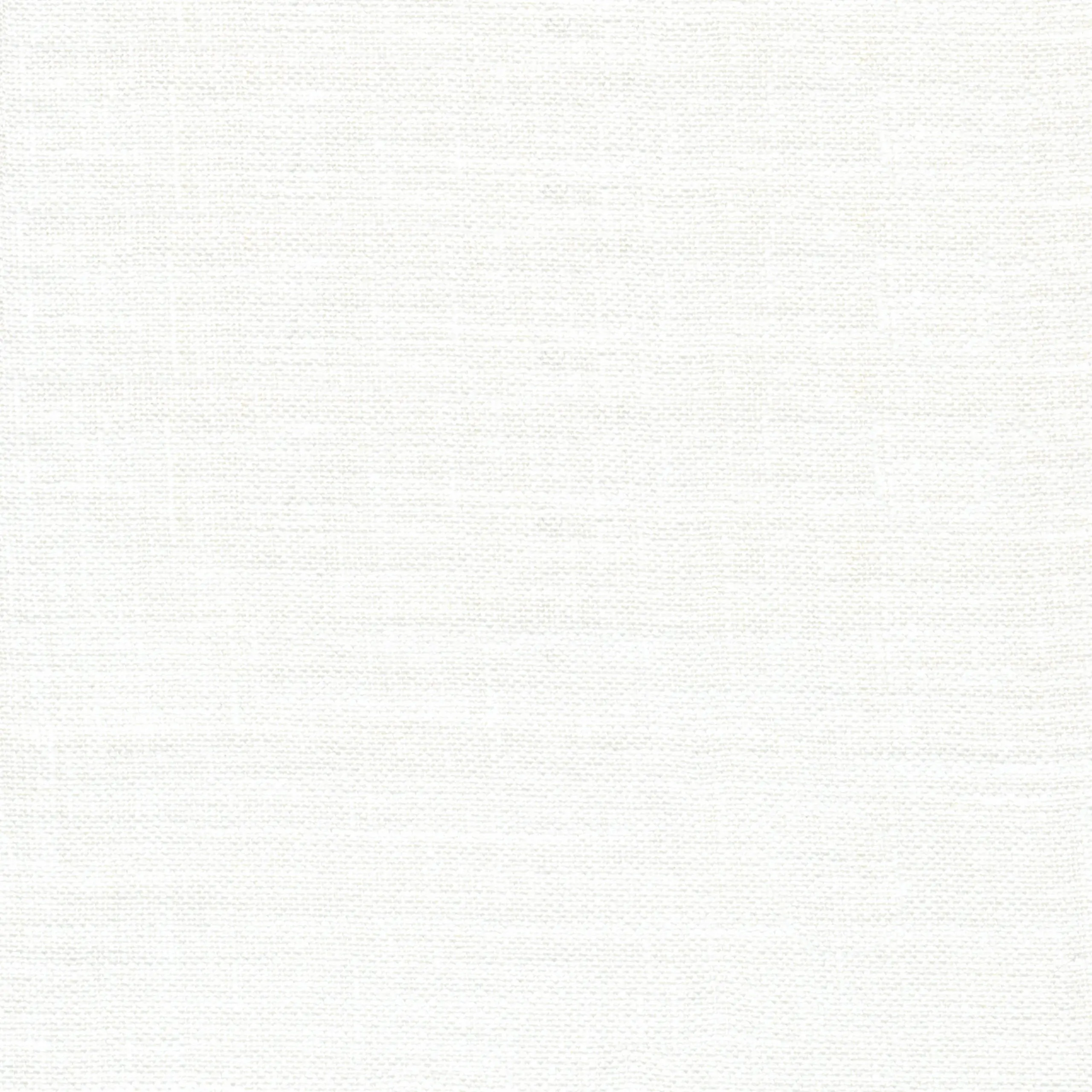 Snow 1 | Sandro