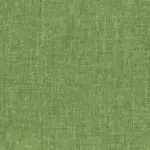 Cactus 20 | Vimini