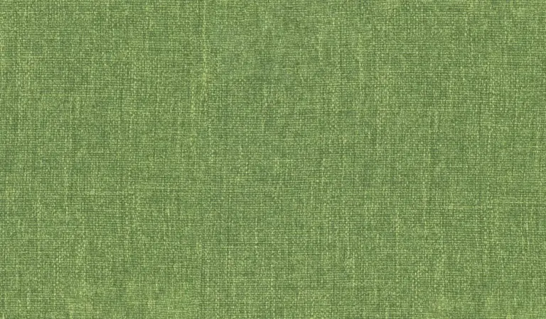 Cactus 20