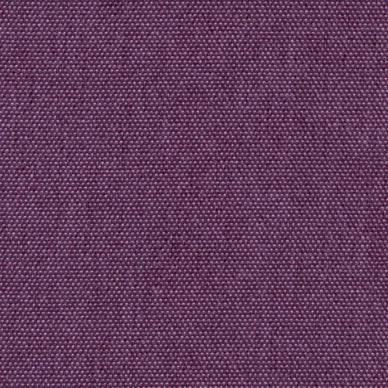 Crocus 701