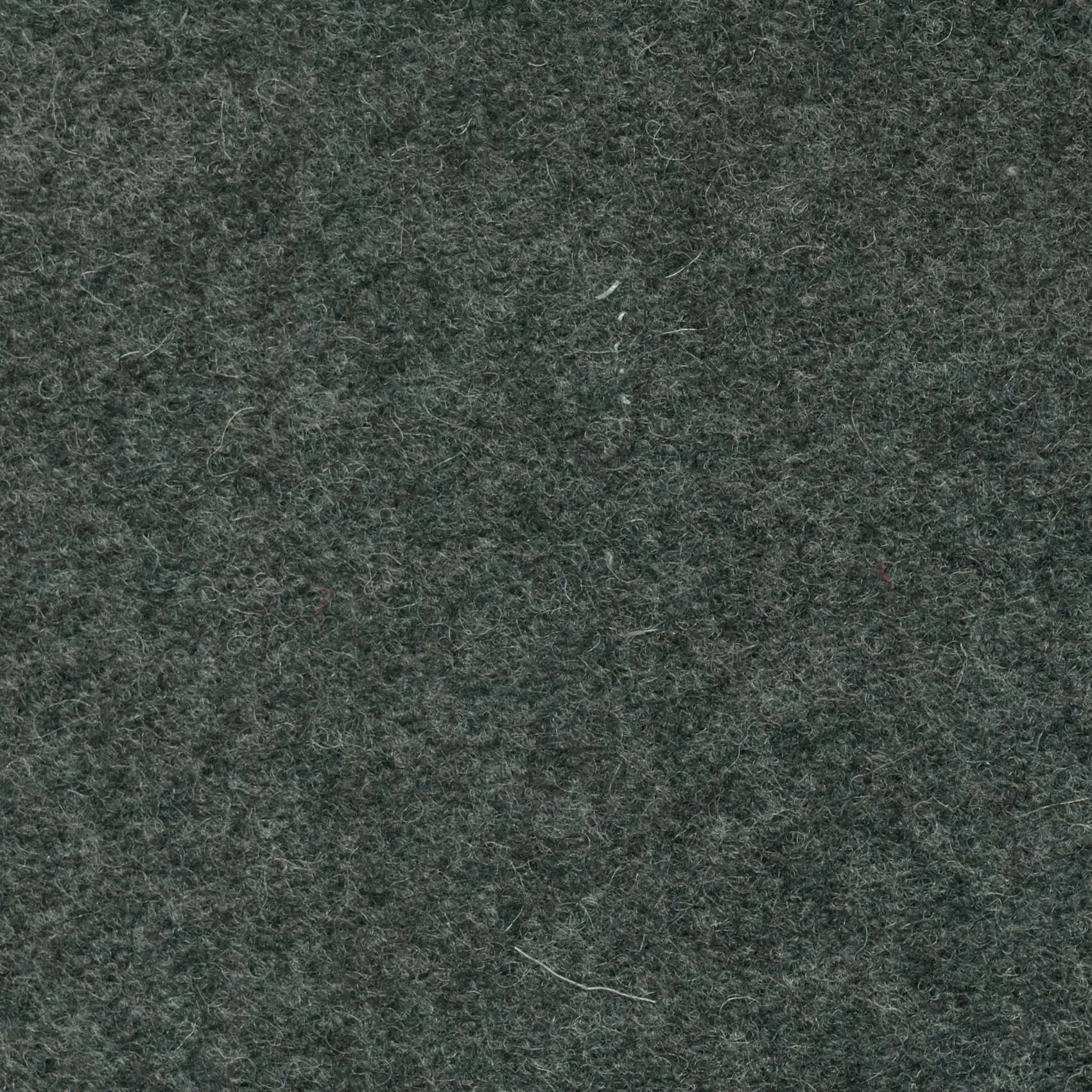 Castor 199 | Savoy FR