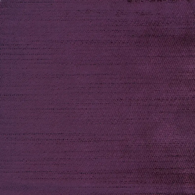 Eggplant 336