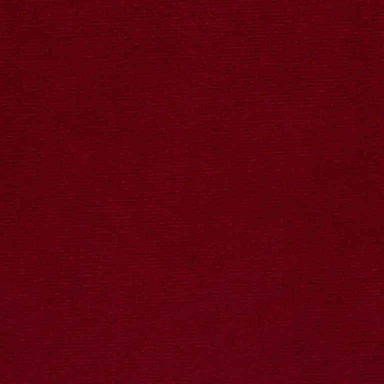 Vino 10