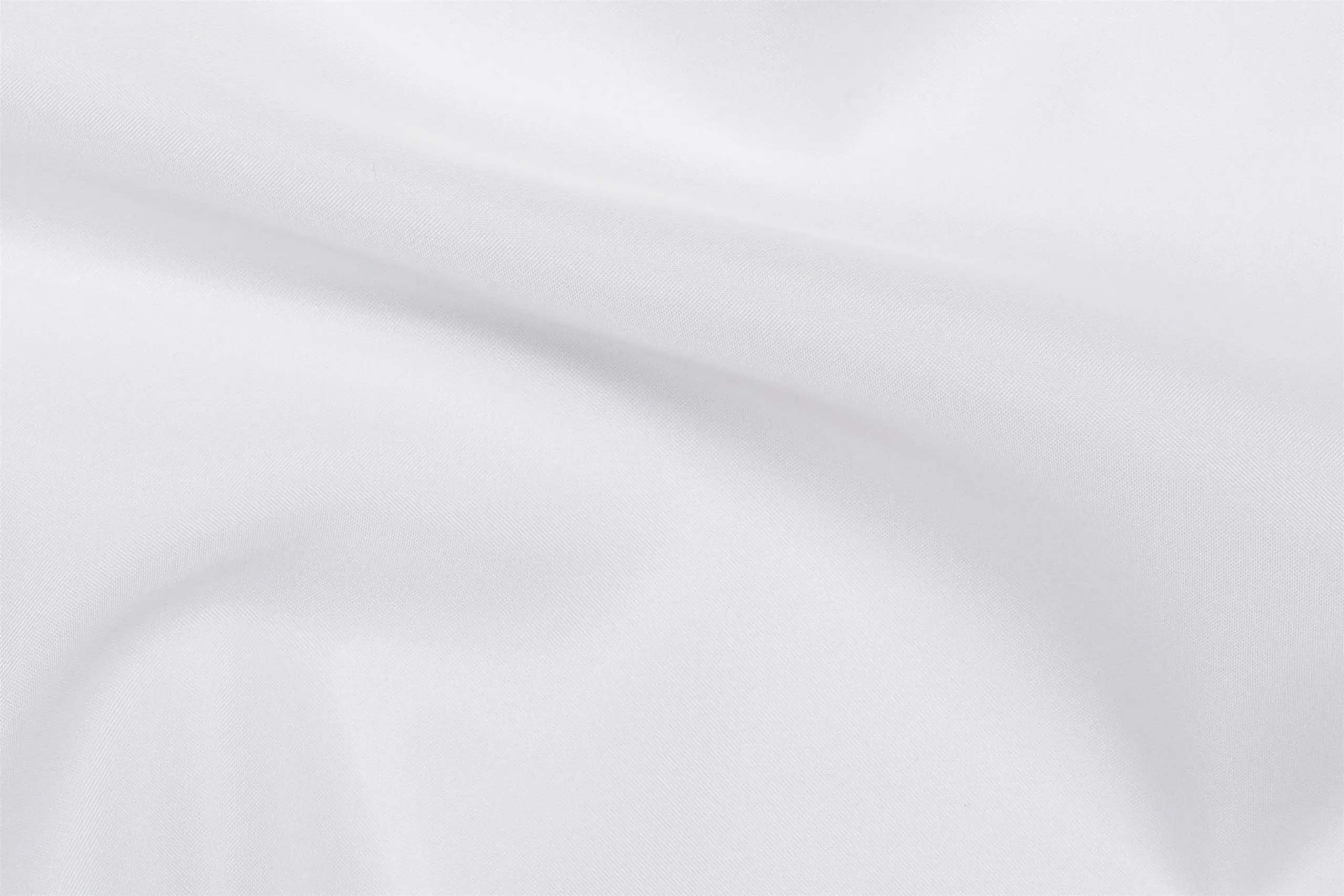 Lily White 03 | Piuma